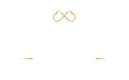 HLNS Logo
